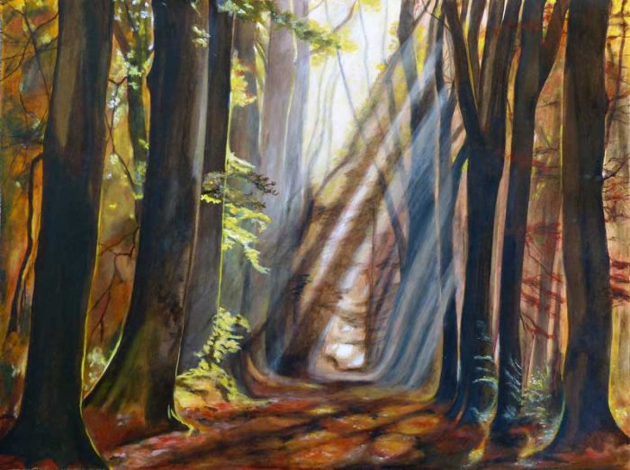 Yolande Bernard 2017 - Lumière et forêt (II)