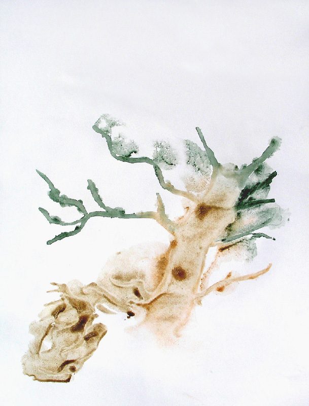 Andrée Job-Querzola 2008 - Arbre - Lavis au travers d'un pochoir.