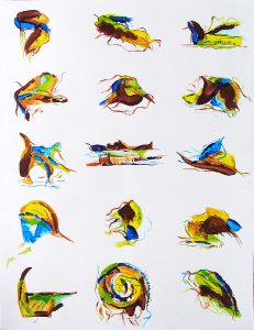 De la biodiversité en peinture.