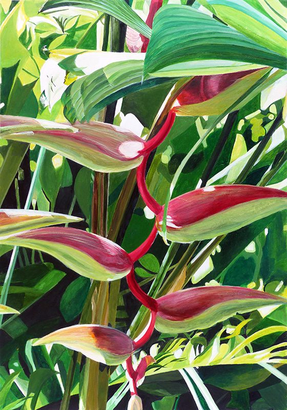 Isabelle Bisson 2022 - Heliconia chartacea - Acrylique sur papier 50 x 65 cm - Sujet n°267